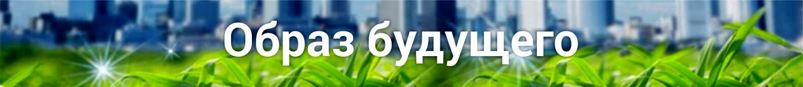 Образ будущего